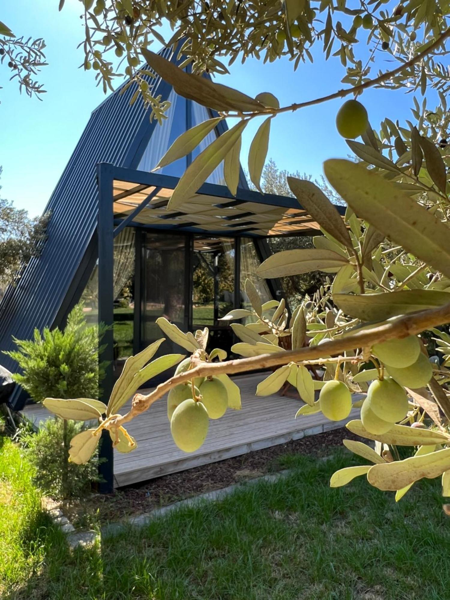 Byelka Bungalov Ayvalik Exterior foto