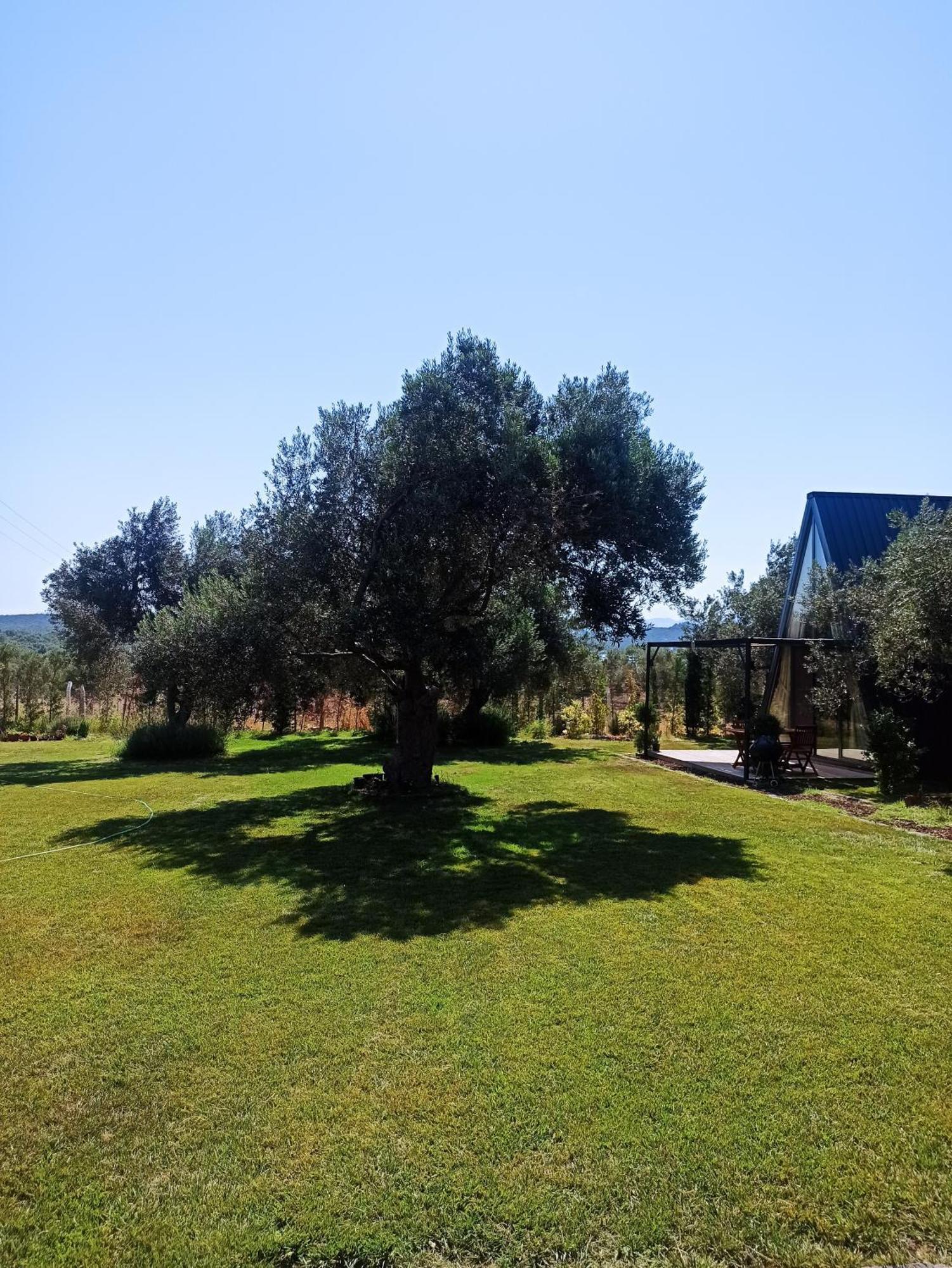 Byelka Bungalov Ayvalik Exterior foto